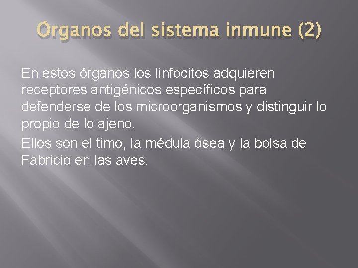Órganos del sistema inmune (2) En estos órganos linfocitos adquieren receptores antigénicos específicos para