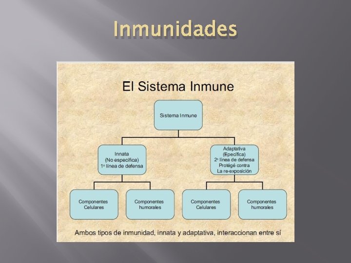 Inmunidades 
