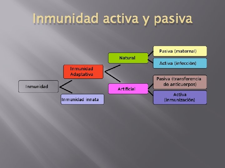 Inmunidad activa y pasiva 