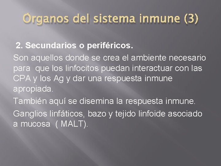 Órganos del sistema inmune (3) 2. Secundarios o periféricos. Son aquellos donde se crea