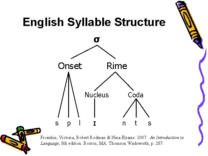 English Syllable Structure σ Onset Rime Nucleus s p l I Coda n t