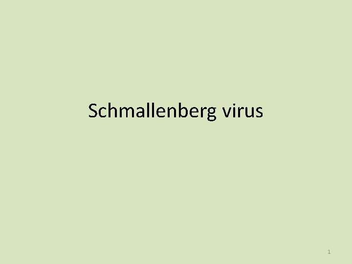 Schmallenberg virus 1 