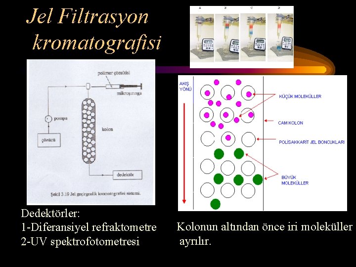 Jel Filtrasyon kromatografisi Dedektörler: 1 -Diferansiyel refraktometre 2 -UV spektrofotometresi Kolonun altından önce iri