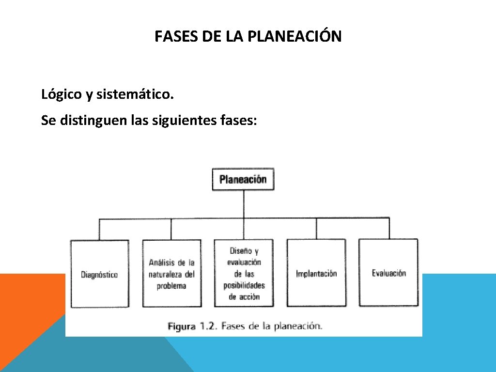 FASES DE LA PLANEACIÓN Lógico y sistemático. Se distinguen las siguientes fases: 