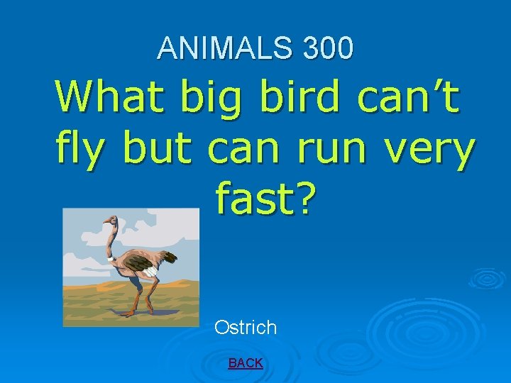 ANIMALS 300 What big bird can’t fly but can run very fast? Ostrich BACK