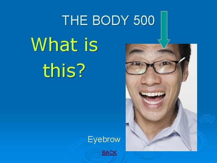 THE BODY 500 What is this? Eyebrow BACK 