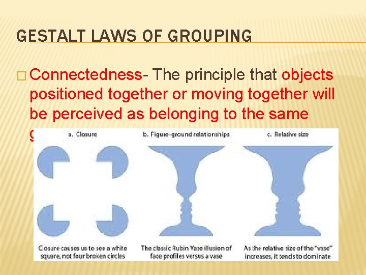 GESTALT LAWS OF GROUPING � Connectedness- The principle that objects positioned together or moving