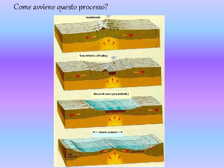 Come avviene questo processo? 