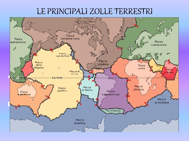 LE PRINCIPALI ZOLLE TERRESTRI 