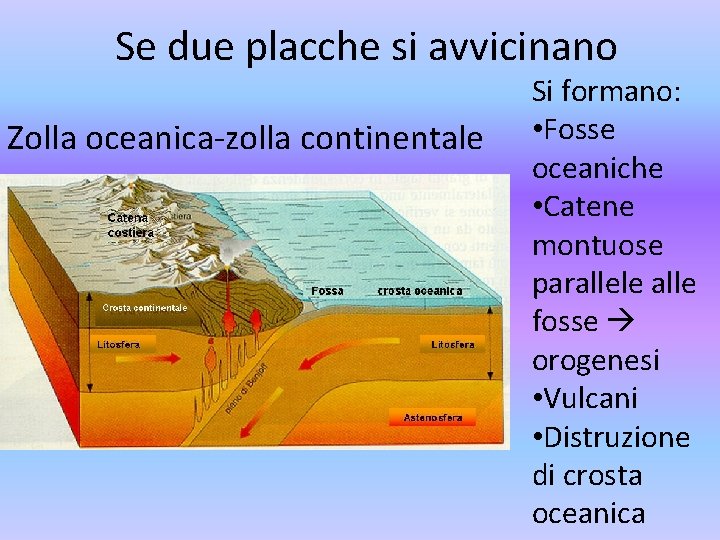 Se due placche si avvicinano Zolla oceanica-zolla continentale Si formano: • Fosse oceaniche •