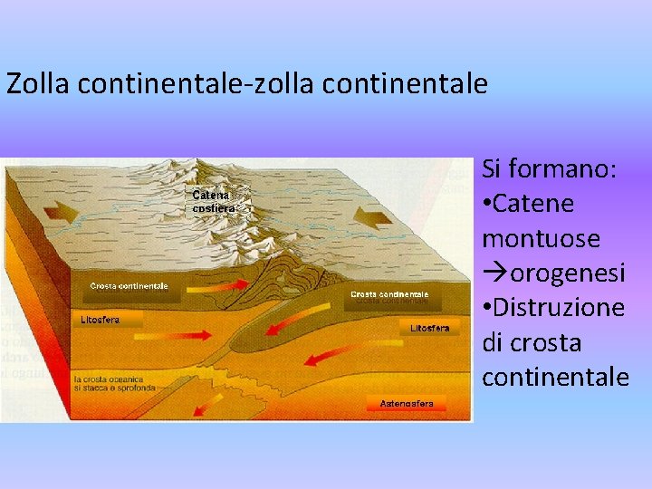 Zolla continentale-zolla continentale Si formano: • Catene montuose orogenesi • Distruzione di crosta continentale