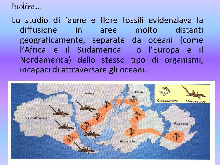 Inoltre…. Lo studio di faune e flore fossili evidenziava la diffusione in aree molto