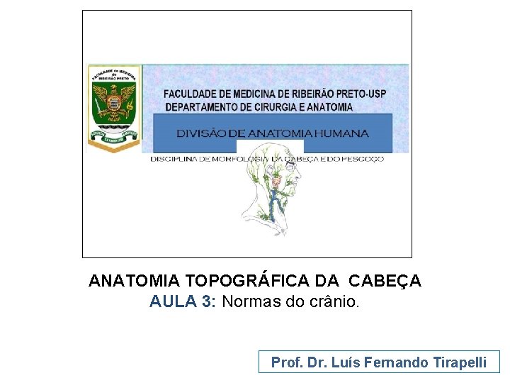 ANATOMIA TOPOGRÁFICA DA CABEÇA AULA 3: Normas do crânio. Prof. Dr. Luís Fernando Tirapelli
