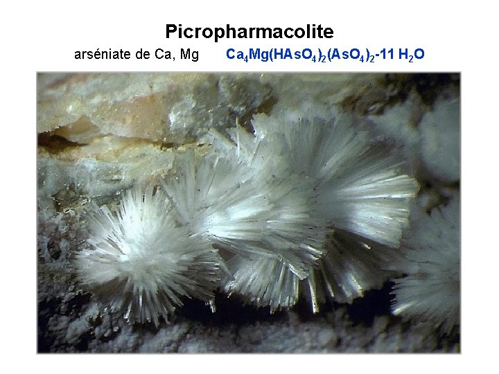 Picropharmacolite arséniate de Ca, Mg Ca 4 Mg(HAs. O 4)2(As. O 4)2 -11 H