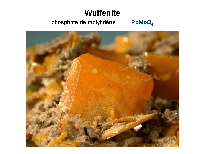 Wulfenite phosphate de molybdène Pb. Mo. O 4 