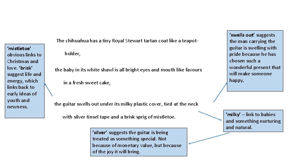 The chihuahua has a tiny Royal Stewart tartan coat like a teapot‘mistletoe’ obvious links