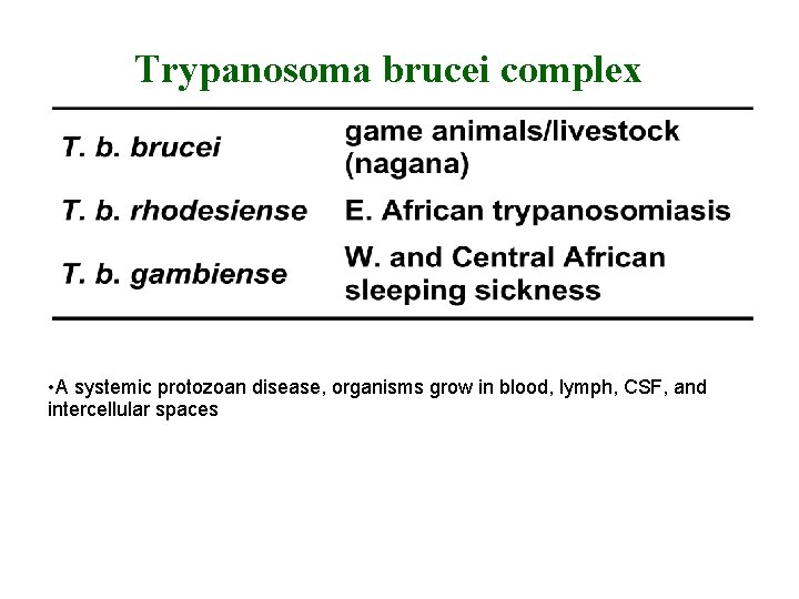 Trypanosoma brucei complex • A systemic protozoan disease, organisms grow in blood, lymph, CSF,