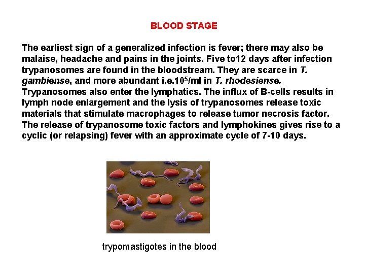 BLOOD STAGE The earliest sign of a generalized infection is fever; there may also