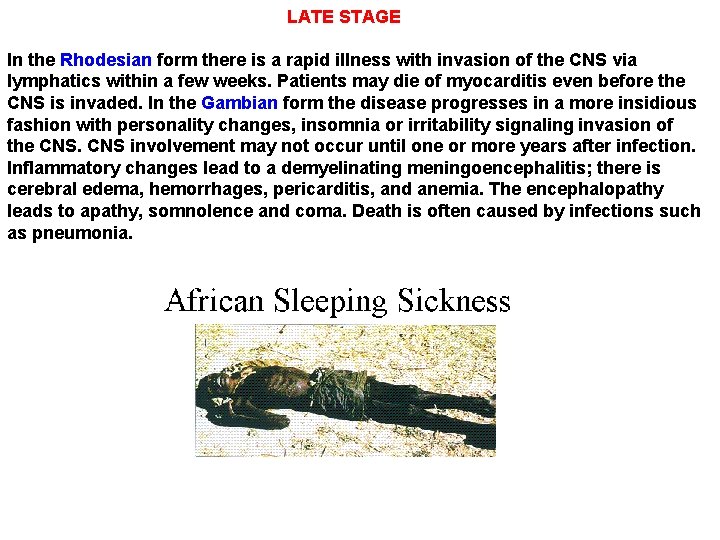 LATE STAGE In the Rhodesian form there is a rapid illness with invasion of