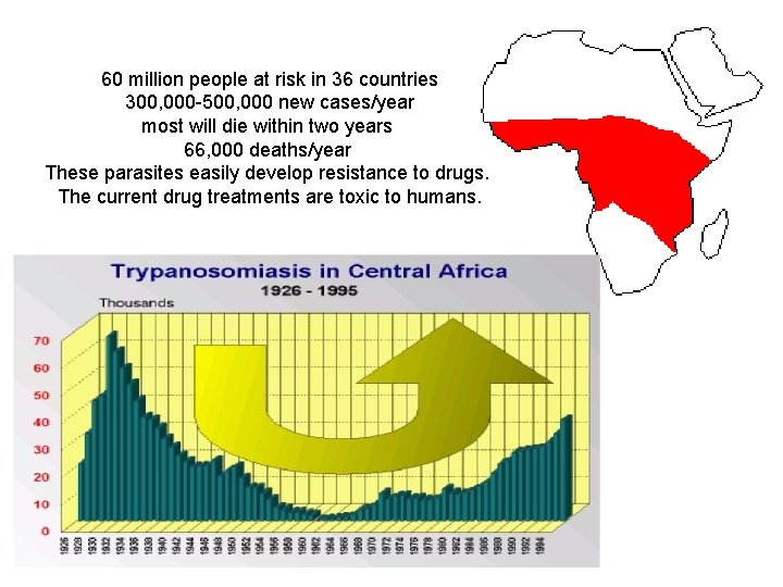 60 million people at risk in 36 countries 300, 000 500, 000 new cases/year