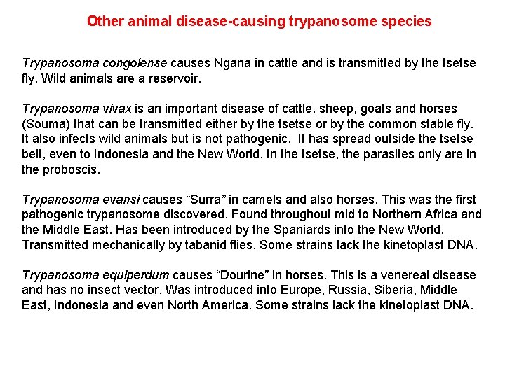 Other animal disease-causing trypanosome species Trypanosoma congolense causes Ngana in cattle and is transmitted