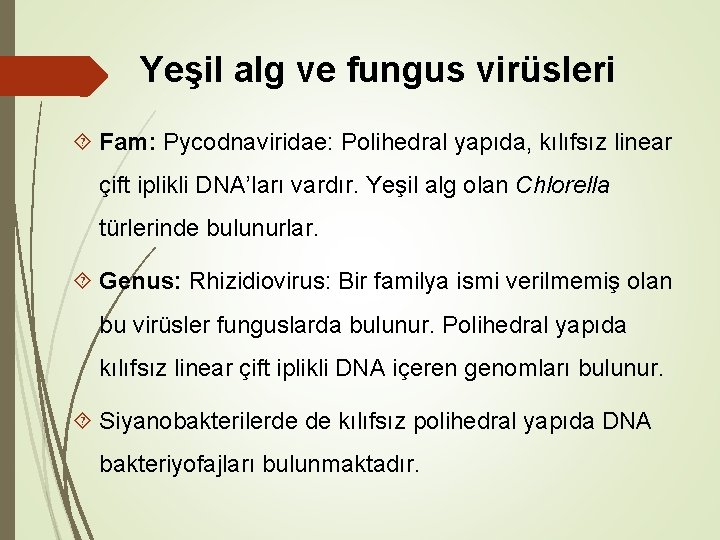 Yeşil alg ve fungus virüsleri Fam: Pycodnaviridae: Polihedral yapıda, kılıfsız linear çift iplikli DNA’ları