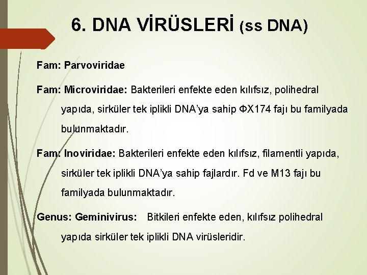 6. DNA VİRÜSLERİ (ss DNA) Fam: Parvoviridae Fam: Microviridae: Bakterileri enfekte eden kılıfsız, polihedral