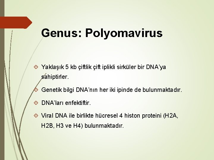 Genus: Polyomavirus Yaklaşık 5 kb çiftlik çift iplikli sirküler bir DNA’ya sahiptirler. Genetik bilgi