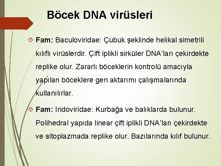 Böcek DNA virüsleri Fam: Baculoviridae: Çubuk şeklinde helikal simetrili kılıflı virüslerdir. Çift iplikli sirküler