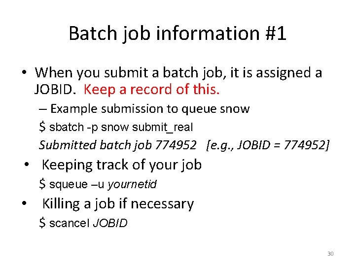 Batch job information #1 • When you submit a batch job, it is assigned