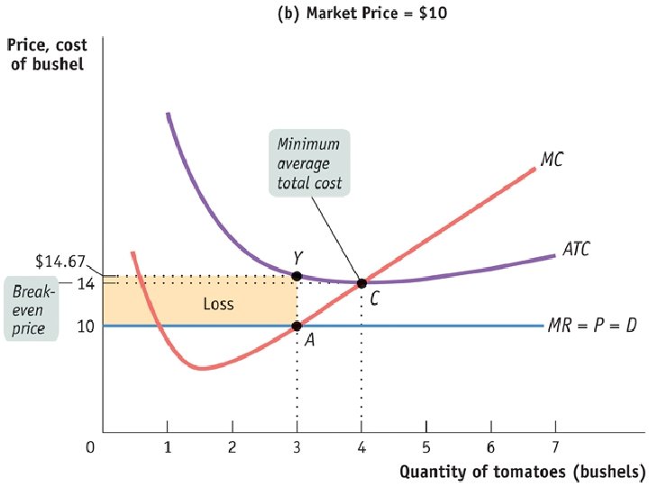 MARKET STRUCTURES: PERFECT COMPETITION 