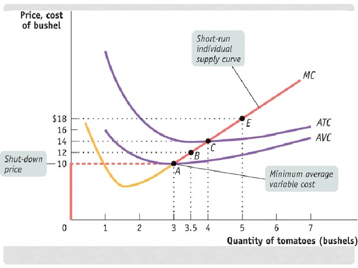 MARKET STRUCTURES: PERFECT COMPETITION 