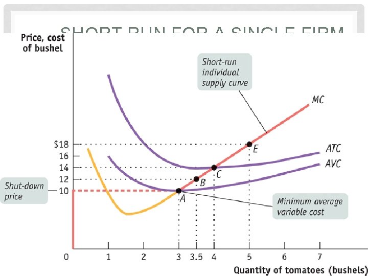 SHORT RUN FOR A SINGLE FIRM 