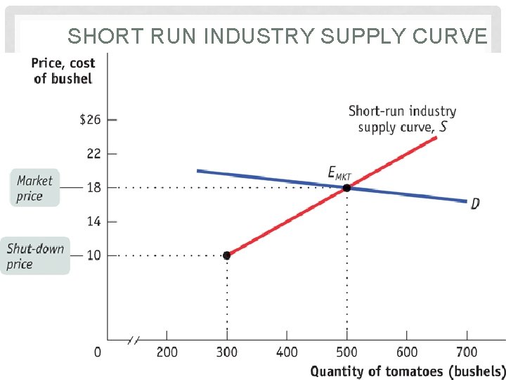 SHORT RUN INDUSTRY SUPPLY CURVE 