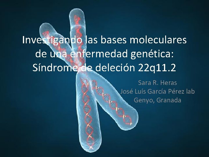 Investigando las bases moleculares de una enfermedad genética: Síndrome de deleción 22 q 11.