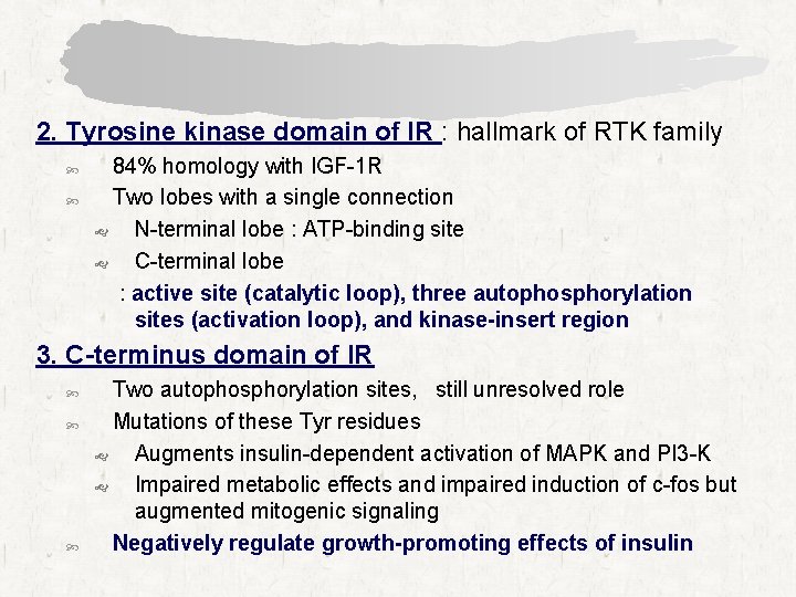 2. Tyrosine kinase domain of IR : hallmark of RTK family 84% homology with