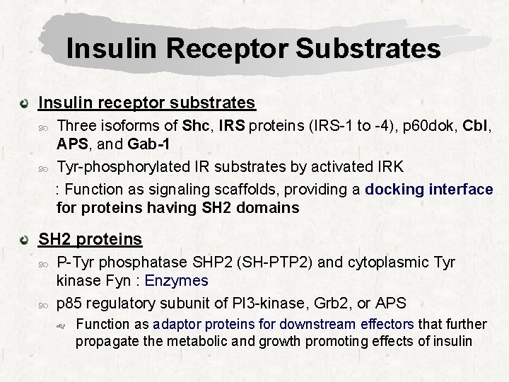 Insulin Receptor Substrates Insulin receptor substrates Three isoforms of Shc, IRS proteins (IRS-1 to