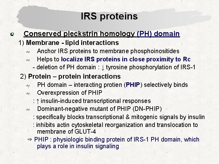 IRS proteins Conserved pleckstrin homology (PH) domain 1) Membrane - lipid interactions Anchor IRS