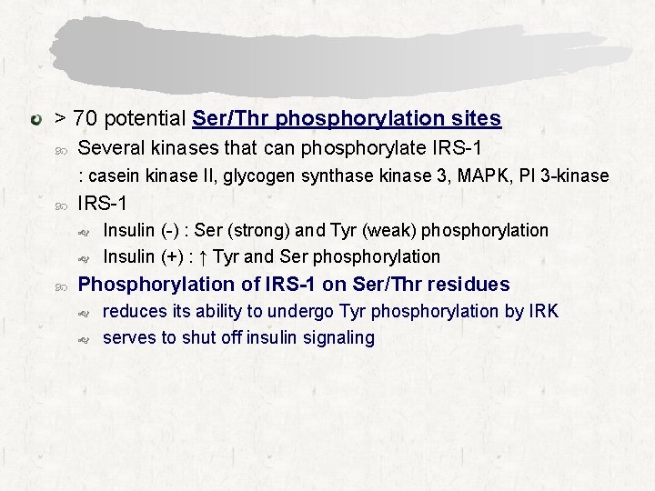 > 70 potential Ser/Thr phosphorylation sites Several kinases that can phosphorylate IRS-1 : casein