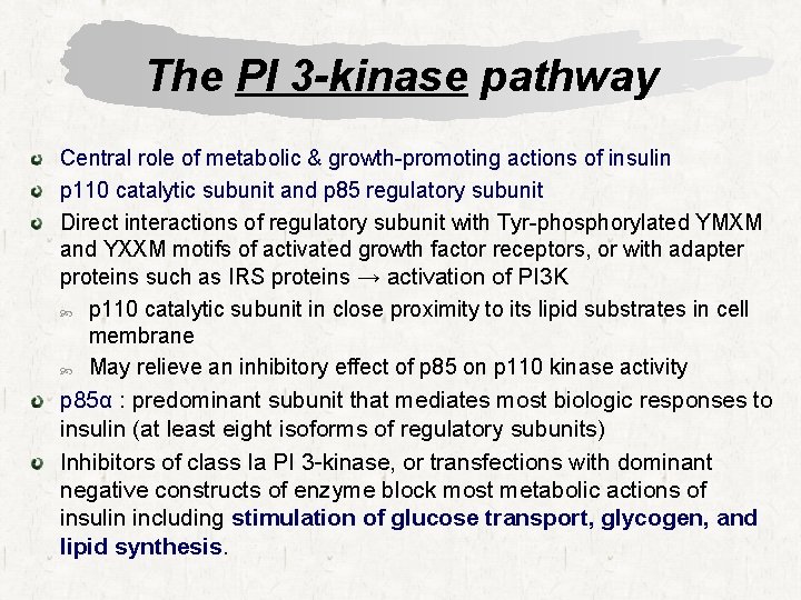 The PI 3 -kinase pathway Central role of metabolic & growth-promoting actions of insulin
