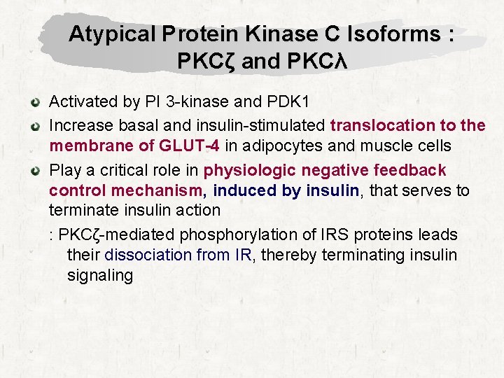Atypical Protein Kinase C Isoforms : PKCζ and PKCλ Activated by PI 3 -kinase