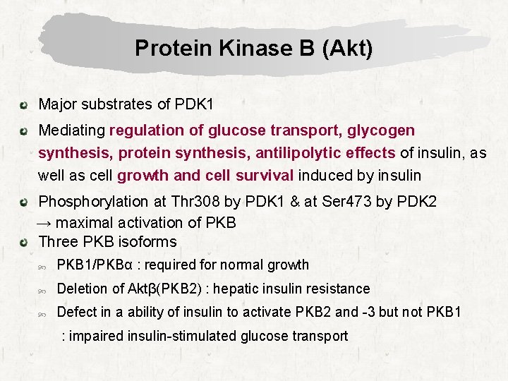 Protein Kinase B (Akt) Major substrates of PDK 1 Mediating regulation of glucose transport,