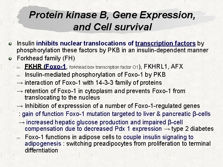 Protein kinase B, Gene Expression, and Cell survival Insulin inhibits nuclear translocations of transcription