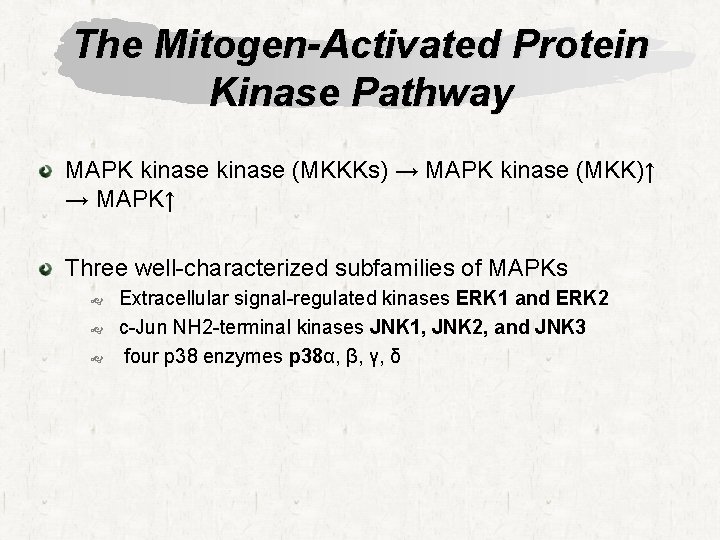 The Mitogen-Activated Protein Kinase Pathway MAPK kinase (MKKKs) → MAPK kinase (MKK)↑ → MAPK↑