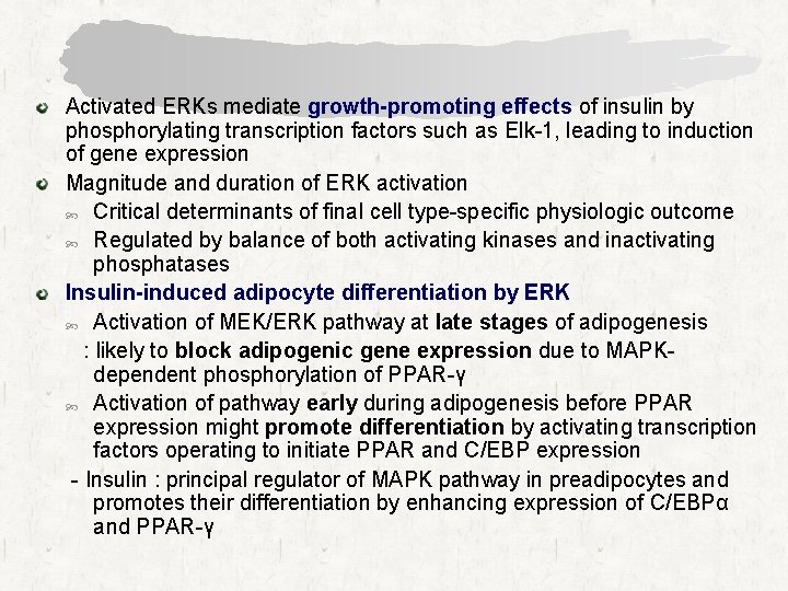 Activated ERKs mediate growth-promoting effects of insulin by phosphorylating transcription factors such as Elk-1,