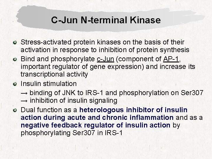 C-Jun N-terminal Kinase Stress-activated protein kinases on the basis of their activation in response