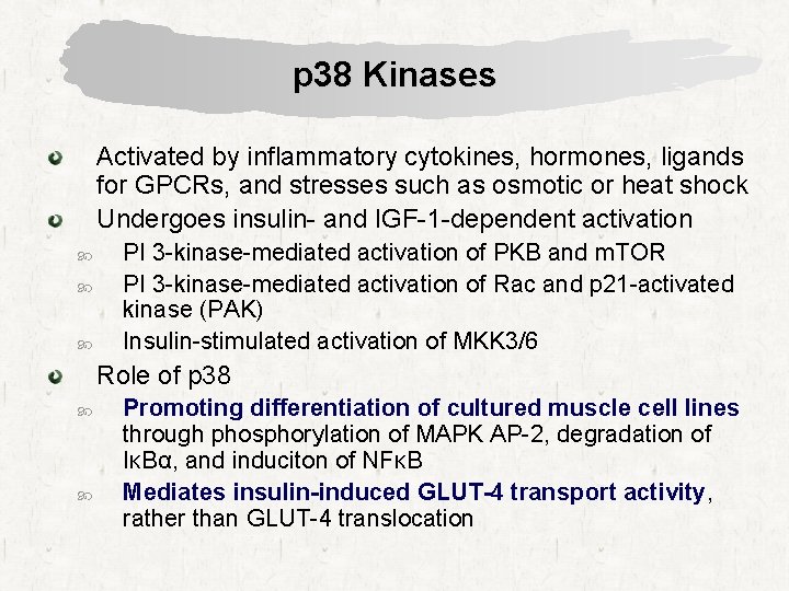 p 38 Kinases Activated by inflammatory cytokines, hormones, ligands for GPCRs, and stresses such