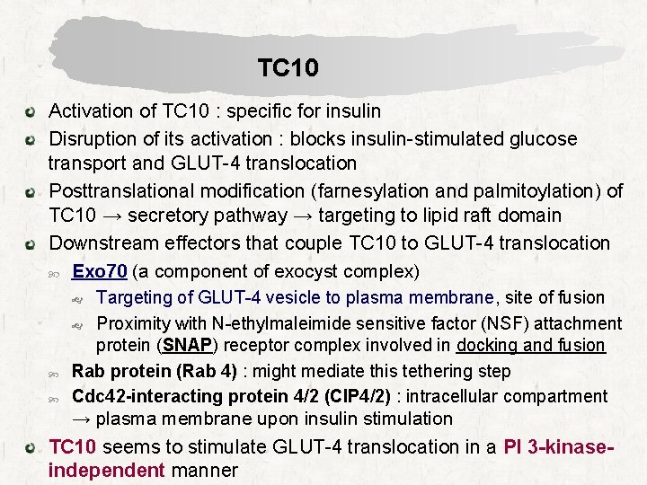 TC 10 Activation of TC 10 : specific for insulin Disruption of its activation