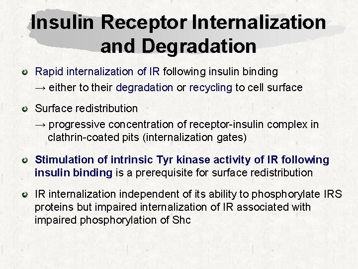 Insulin Receptor Internalization and Degradation Rapid internalization of IR following insulin binding → either