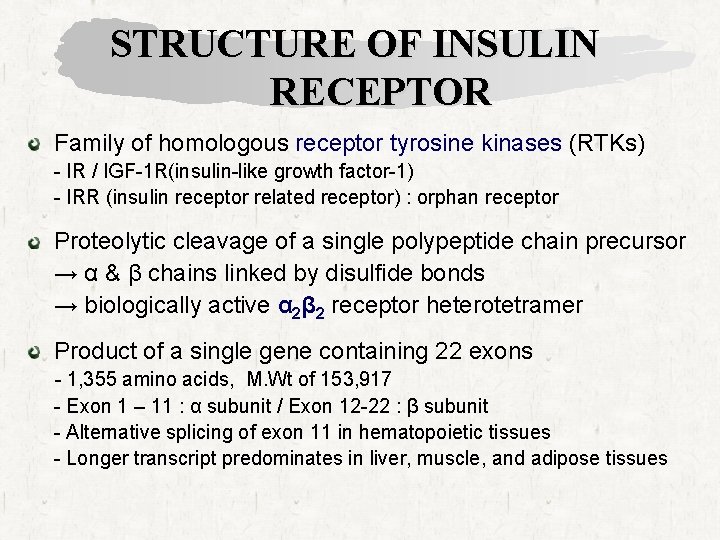 STRUCTURE OF INSULIN RECEPTOR Family of homologous receptor tyrosine kinases (RTKs) - IR /